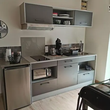 Chaleureux De 35m2 Totalement Independant * Fors