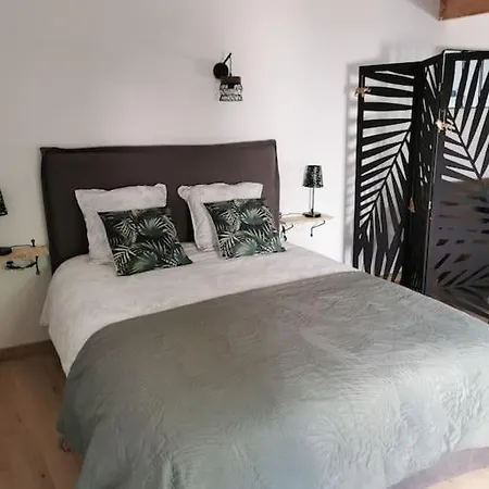 Chaleureux De 35m2 Totalement Independant 公寓 *