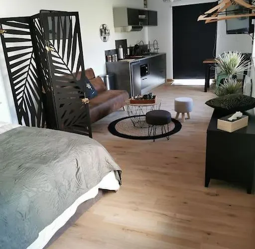 Chaleureux De 35m2 Totalement Independant *