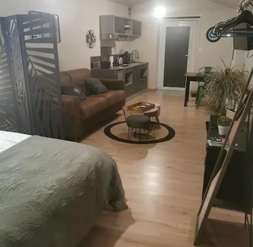 Chaleureux De 35m2 Totalement Independant * Fors